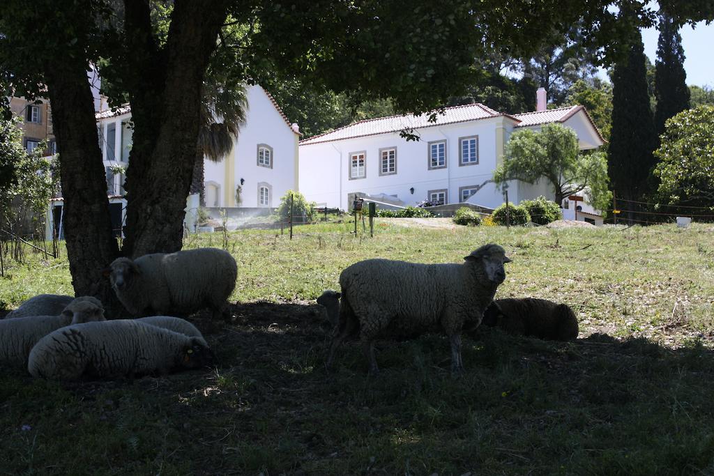 Eugaria Country House By Lost Lisbon Sintra Eksteriør billede
