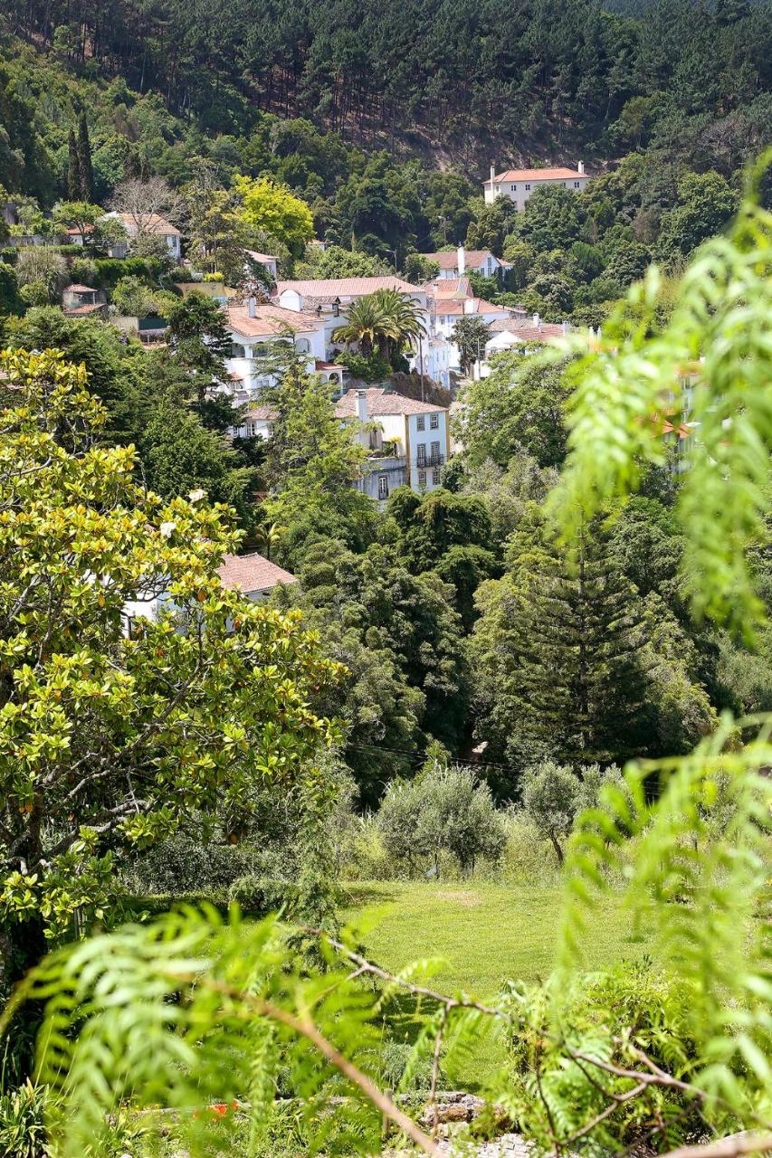 Eugaria Country House By Lost Lisbon Sintra Eksteriør billede